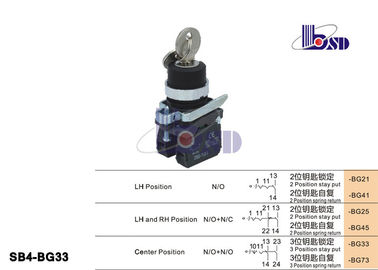 Professional Electrical  Selector Key Switch ROHS And UL Certified